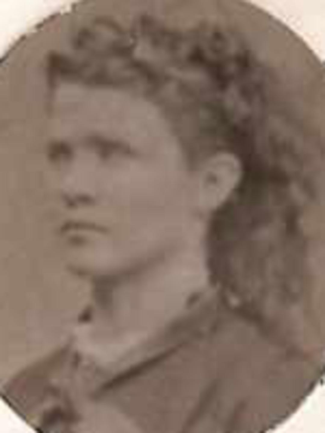 Mary Ann Gillett (1851 - 1899) Profile